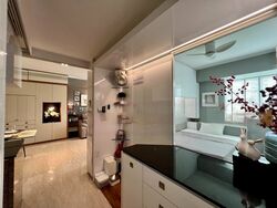 The Jade (D23), Condominium #446234621